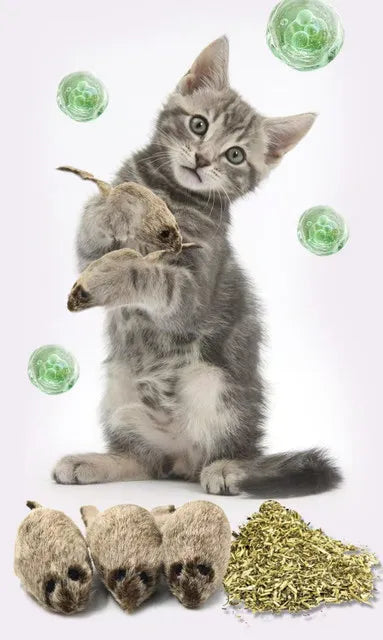 Funny Plush Cat Toy Simulation Mouse Automatic Chirping Interactive Mice Cat Toy Bite Resistance Relieve Boredom Kitten Supplies