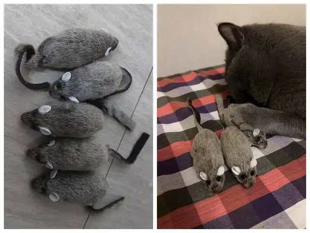 Funny Plush Cat Toy Simulation Mouse Automatic Chirping Interactive Mice Cat Toy Bite Resistance Relieve Boredom Kitten Supplies